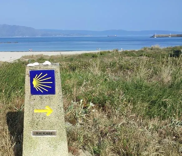 Daire Atico Minerva *